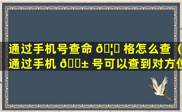 通过手机号查命 🦉 格怎么查（通过手机 🐱 号可以查到对方位置吗）